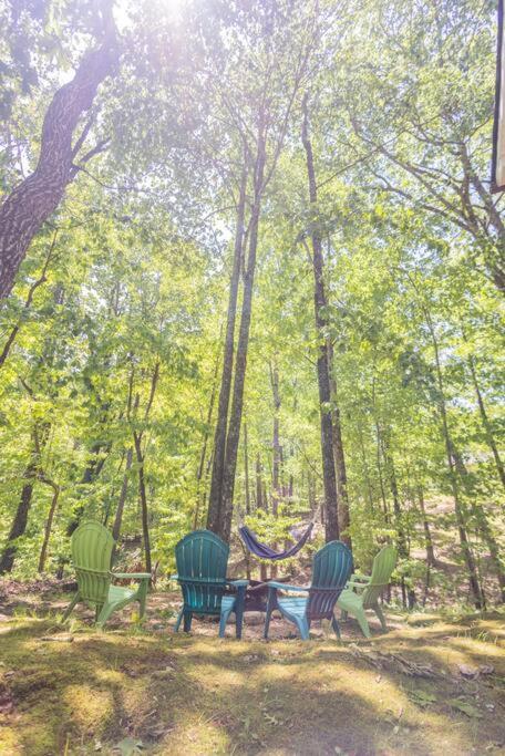 Pet Friendly Luxury Cabin Near Helen With Fire Pit クリーブランド エクステリア 写真
