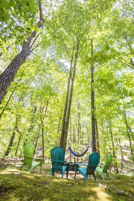 Pet Friendly Luxury Cabin Near Helen With Fire Pit クリーブランド エクステリア 写真