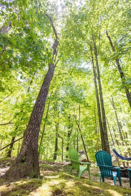 Pet Friendly Luxury Cabin Near Helen With Fire Pit クリーブランド エクステリア 写真